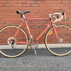 1968 Roger Rivière road bike