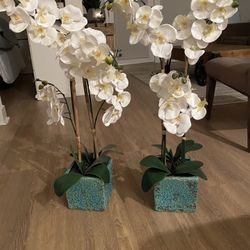 Decorative Flowers