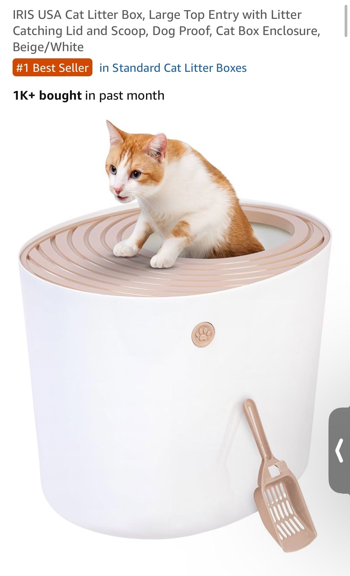 Cat Supplies 