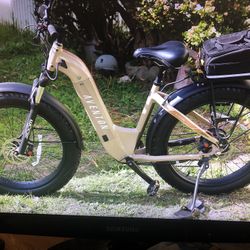 Aventon Adventure v1  Size M/L