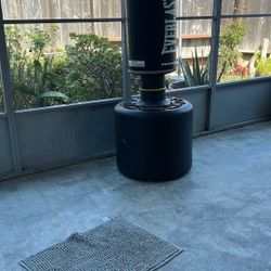 Stand-Up Punching Bag
