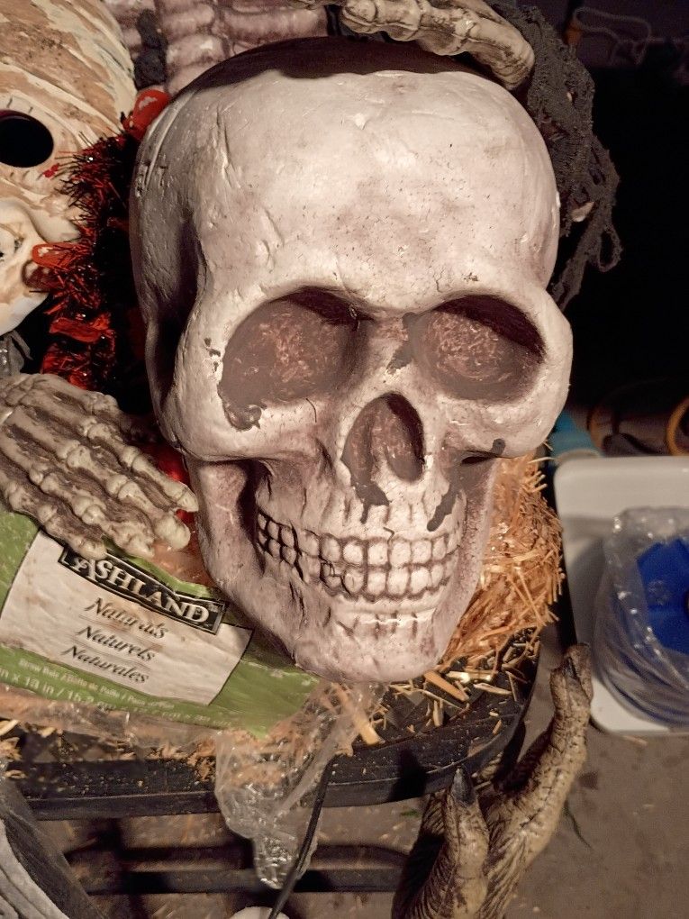 Halloween Decorations