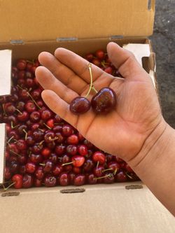 Sweet Cherries