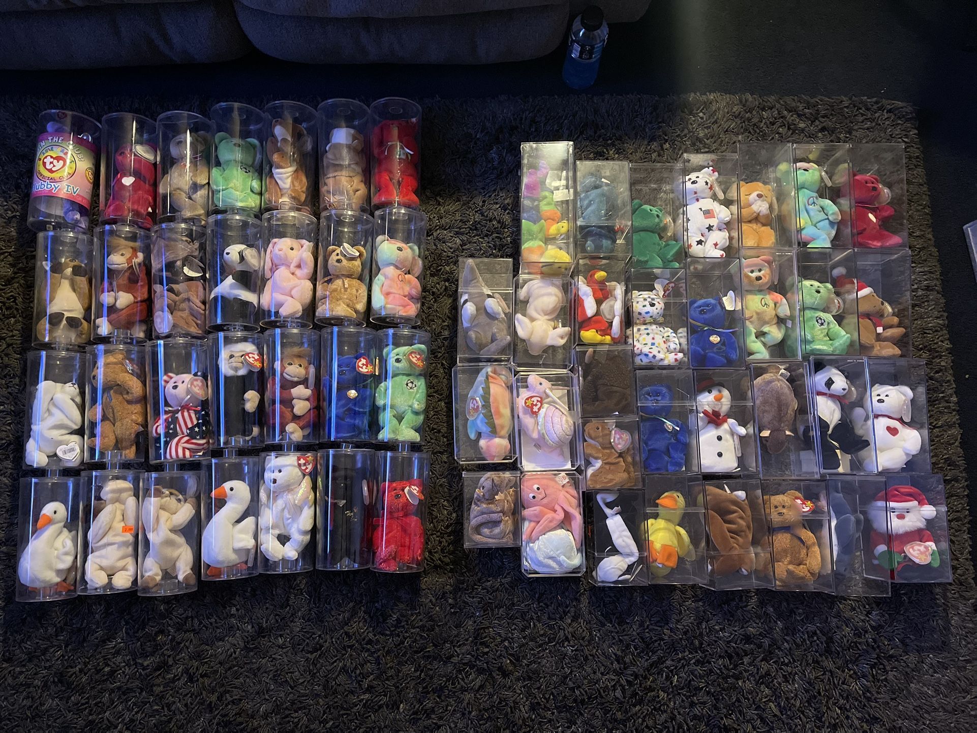 beanie baby Collection