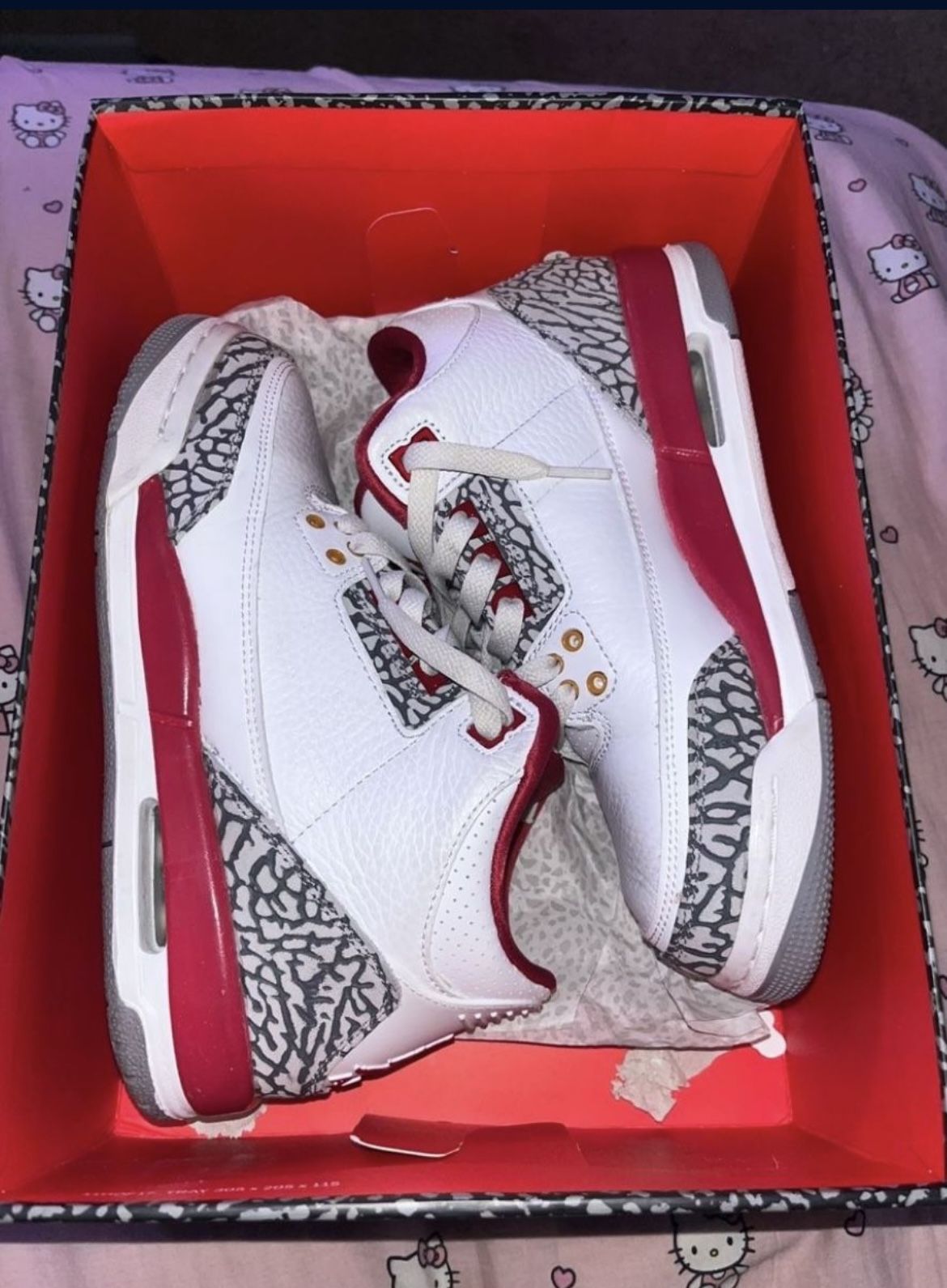 Jordan 3s