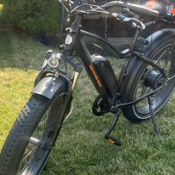 Rad Rover E Bike 