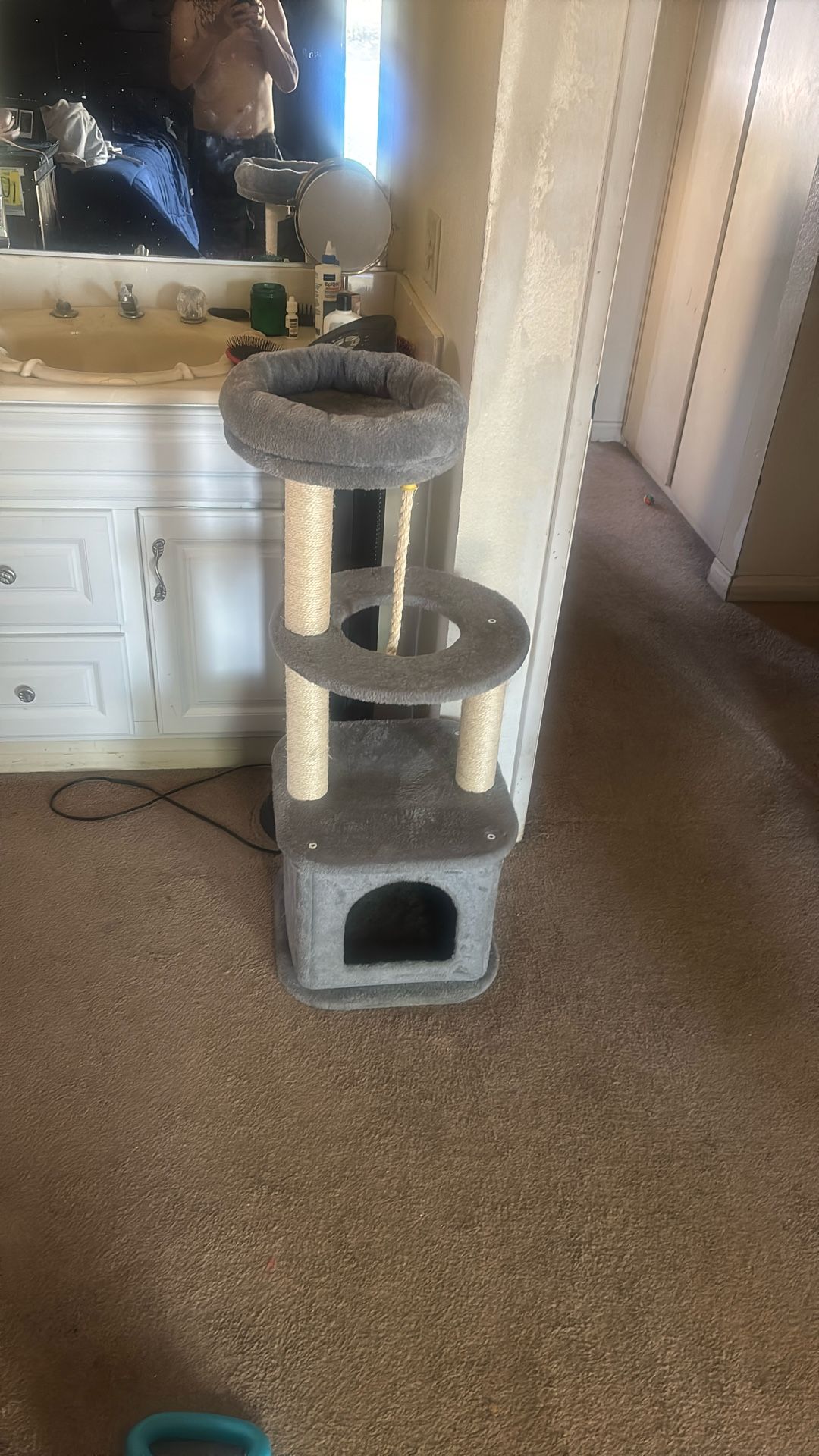 Cat Tree