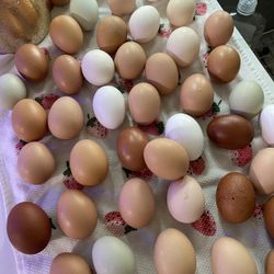 Farm Fresh Free Range Eggs 