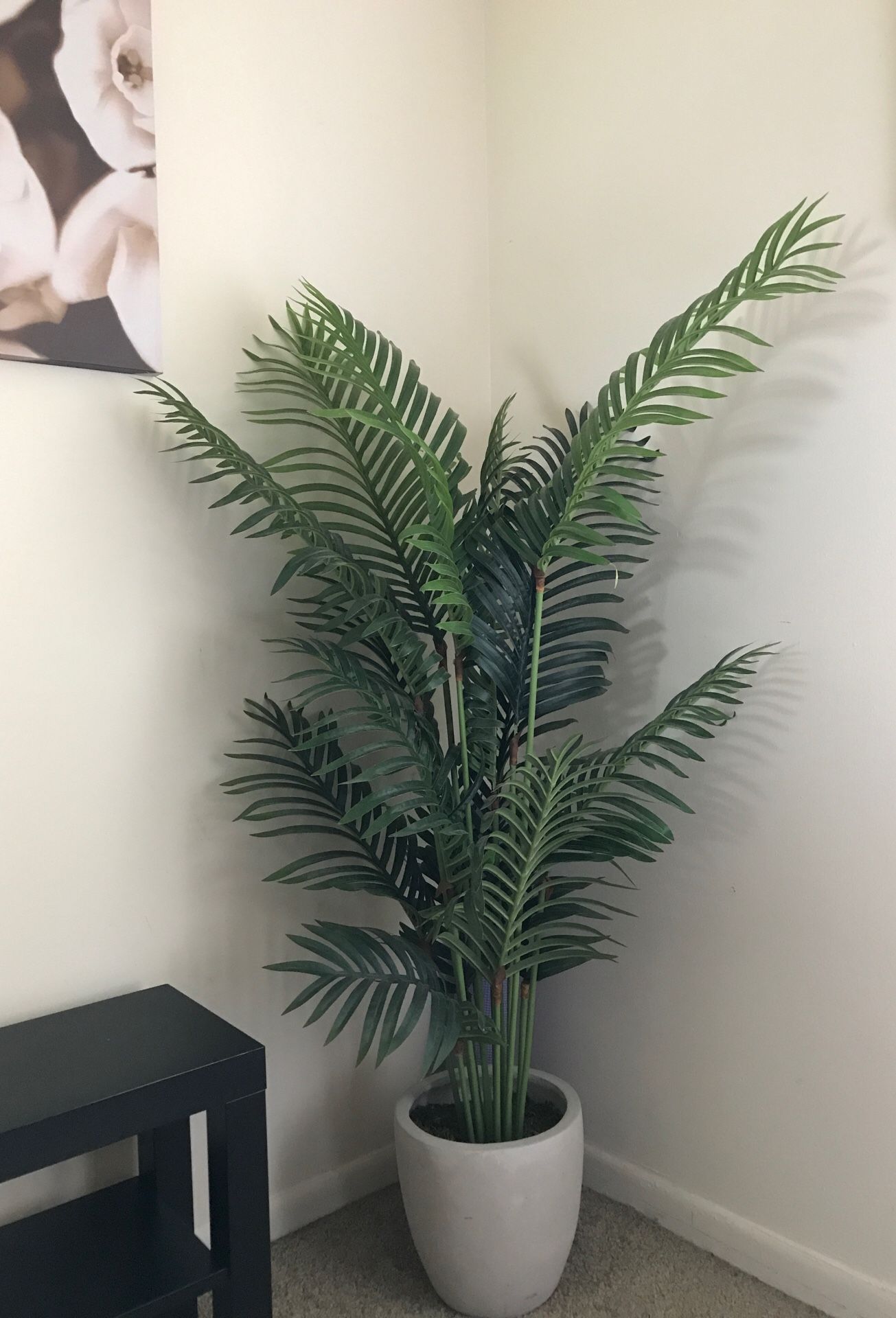 Artificial House Plant, Majesty Palm