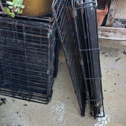 Dog Cages 