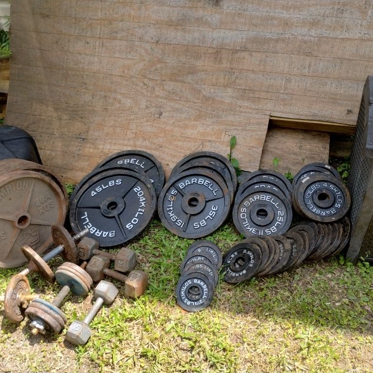 Olympic Style Barbells And Free Weights 