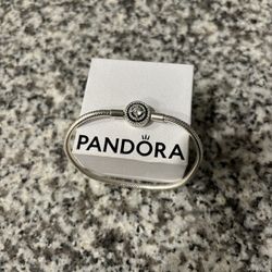 Pandora Charm Bracelet & Charms 