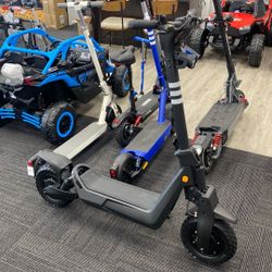 Panther ES800 Off-Road e-Scooter