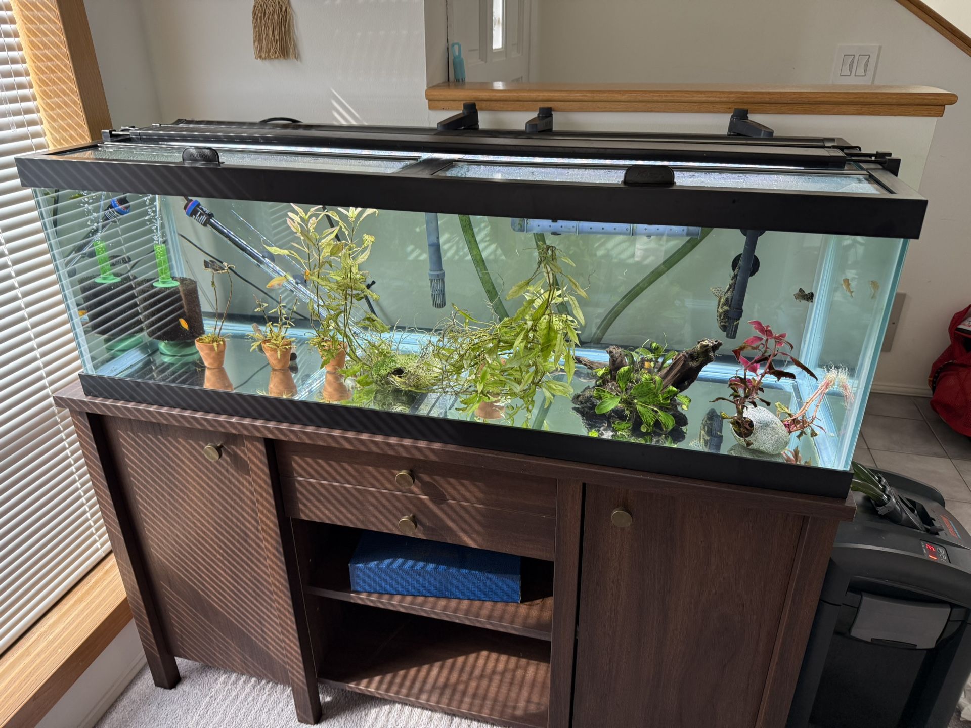 75 Gallons Fish Tank