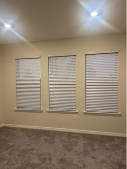 Window Blinds