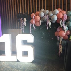 Party Balloon Decorations 