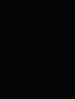 Tamar braxton tickets at howard theather