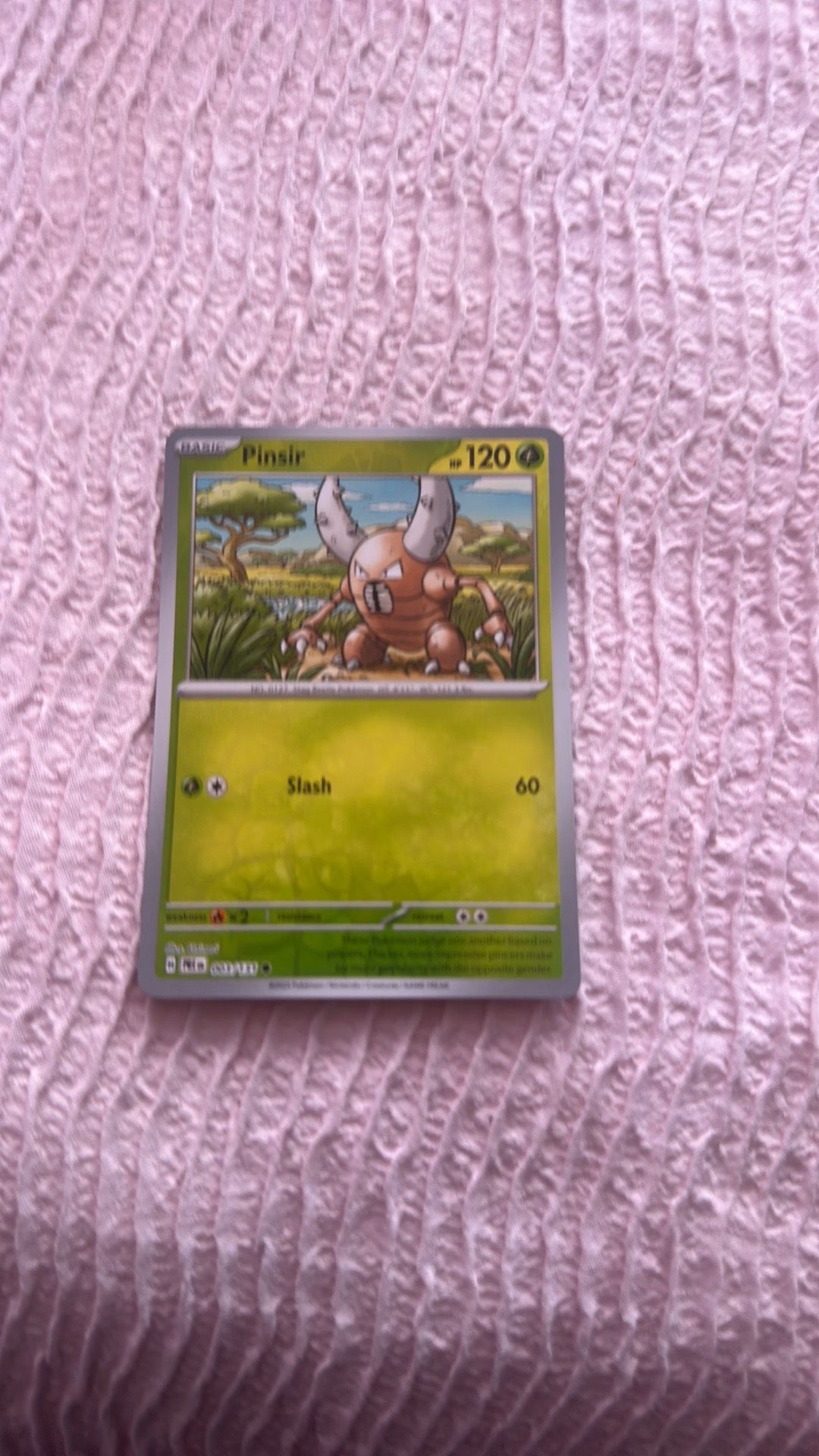 Cheap pokemon