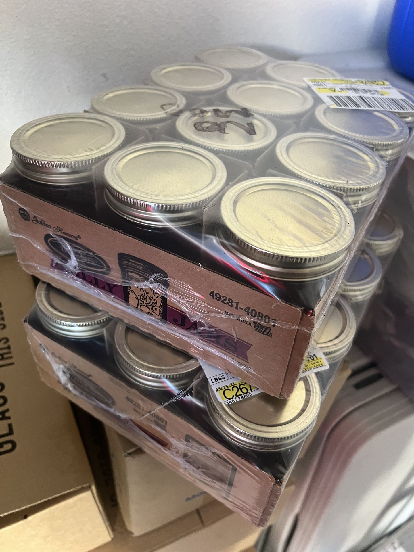 GOLDEN HARVEST - 1/2 Pint / 8 Oz - 12 Jelly Glass Jars - BRAND NEW