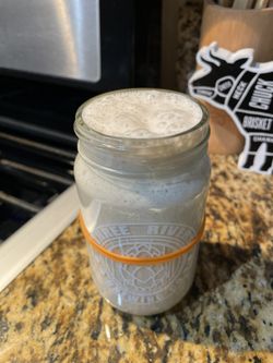 Sourdough Starter (Fresh/Active)