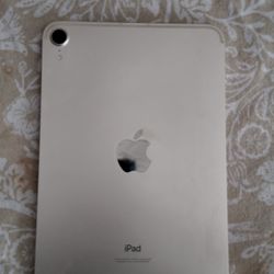 iPad Mini Newest Generation