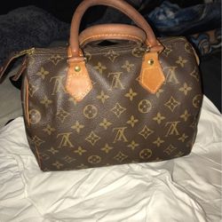 Louis Vuitton Bag