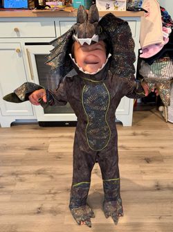 Teetot Dragon Costume – Kids Size 5/6