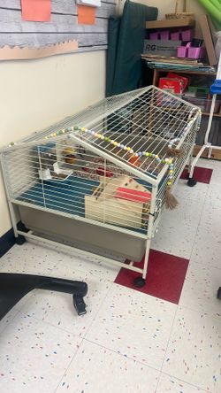 Guinea Pig Cage