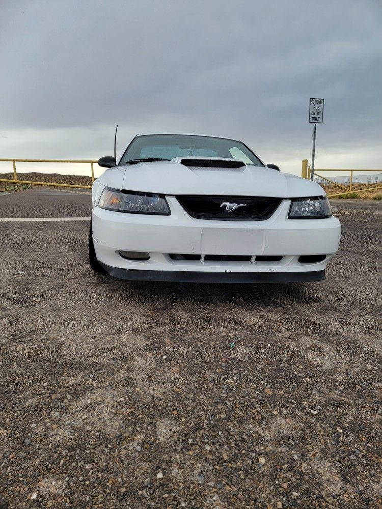 2001 Ford Mustang