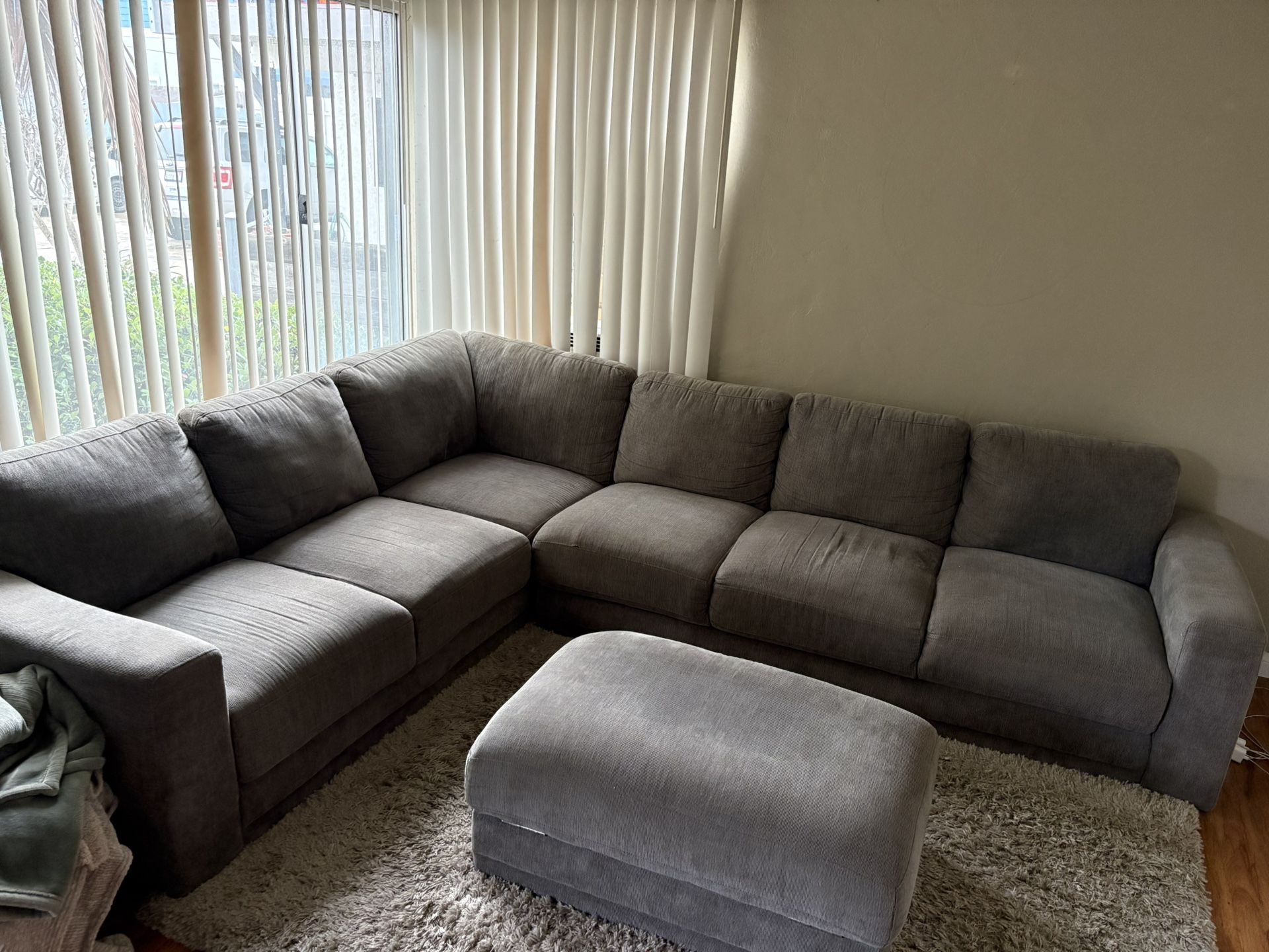 Couch and Ottoman 