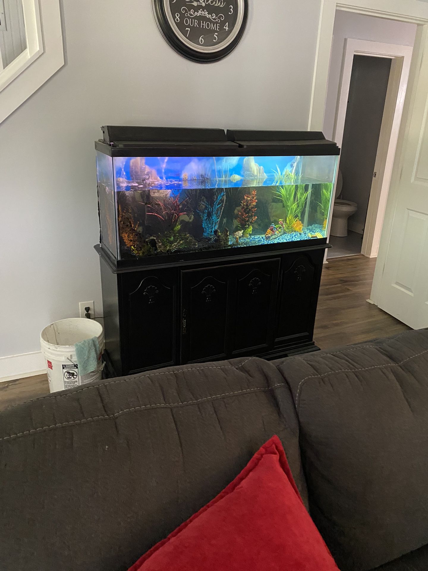 Fish Aquarium And Stand With Accessories .. It’s Dirty Just Needs Cleaning 