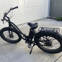 Driven E Bike