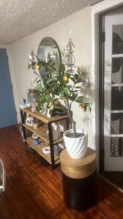 Fake Lemon Tree in White Ceramic Pot