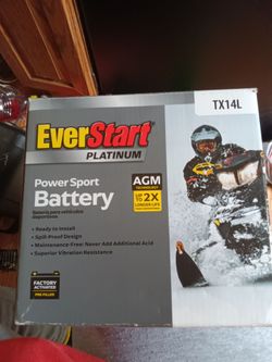 Ever start platinum power smart battery