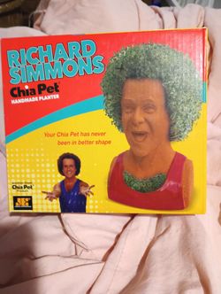 Chia Pet Richard Simmons New