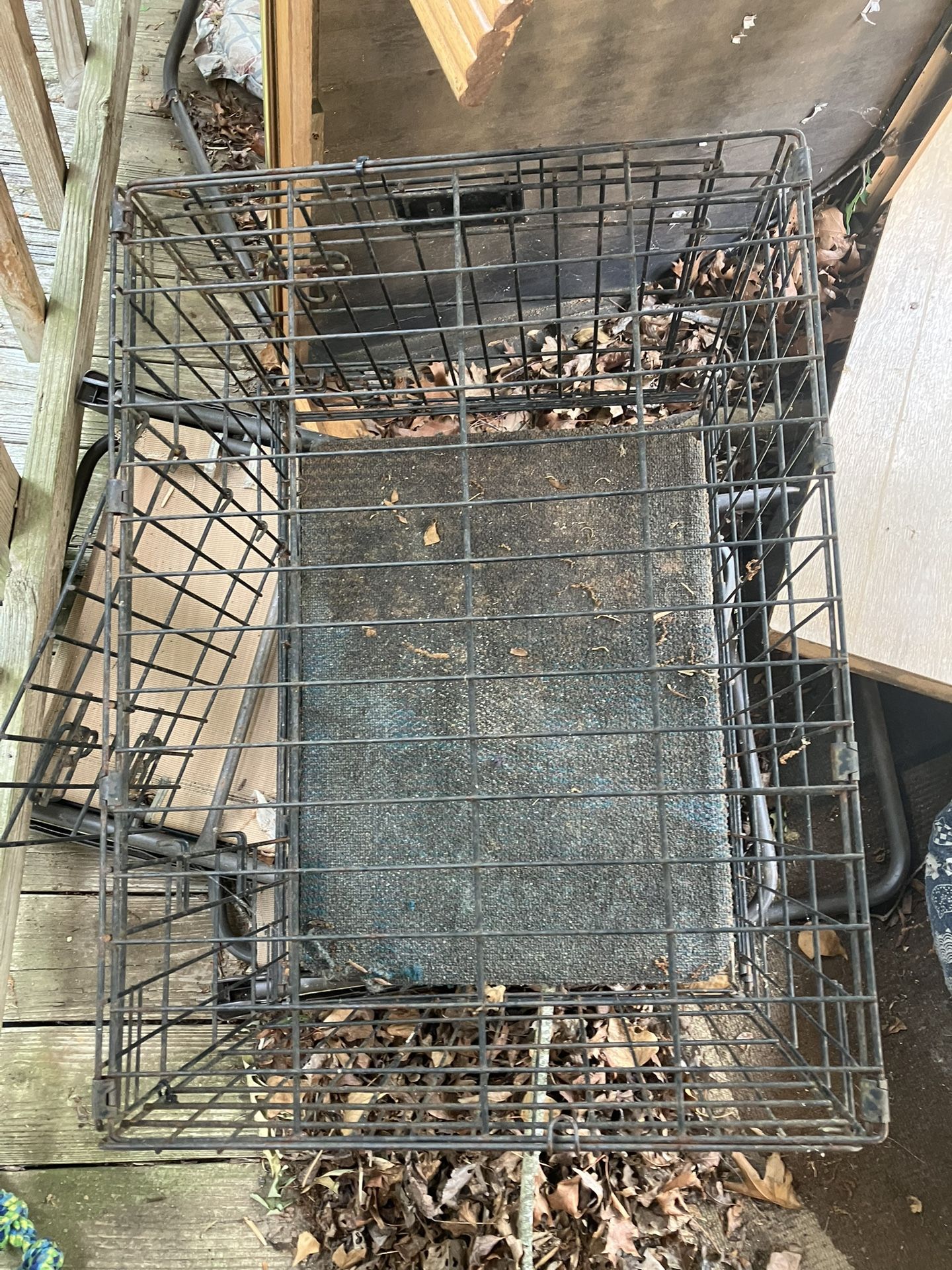 Small Dog Crate
