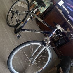 Schwann Bike