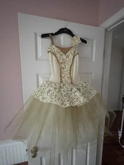 Ballerina/ Fairy Costume Beautiful 