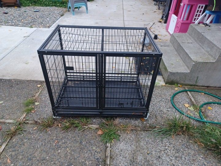 Dog Kennel