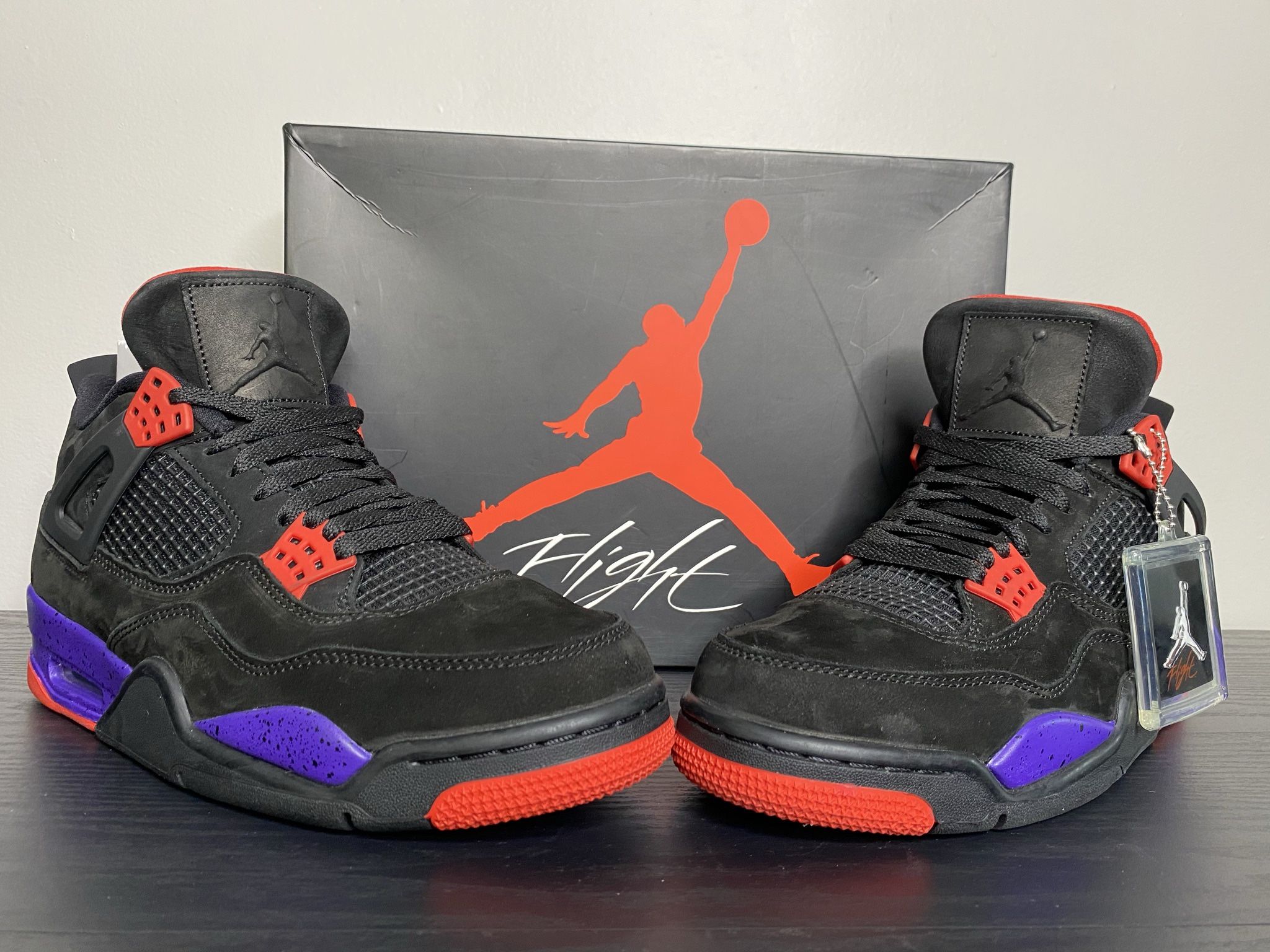 Air Jordan Retro Raptors