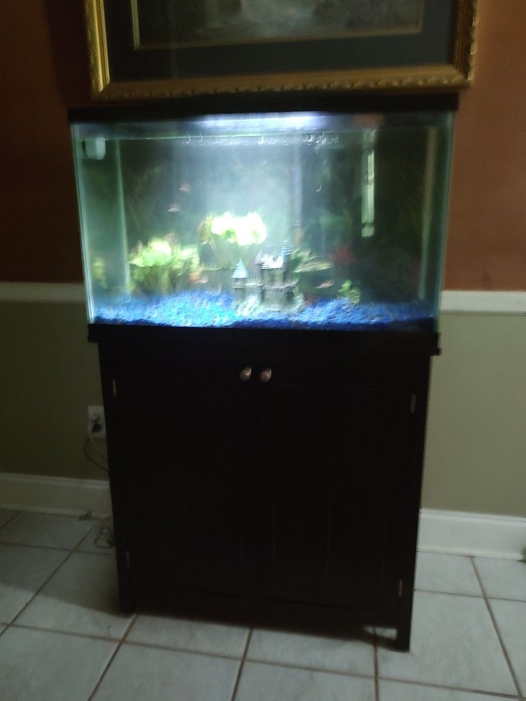 29 Gallon Fish Tank 