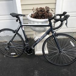 The Vilano FORZA 2.0 is equipped with a 12K Carbon racing fork