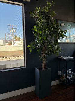 Faux Weeping Fig Tree w/ Square Planter Base