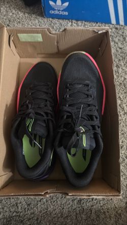 Skechers basketball