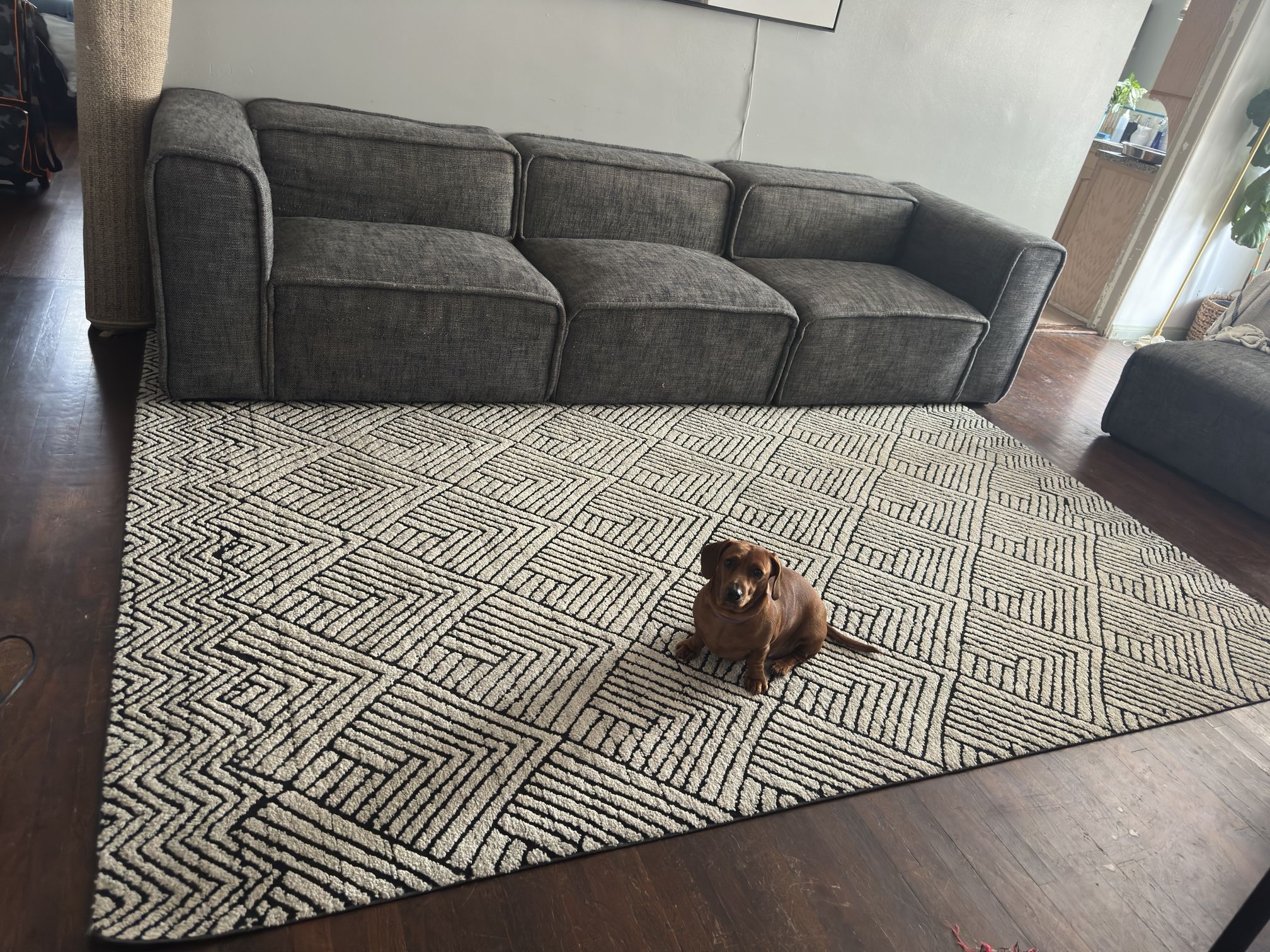 8x10 Area Rug