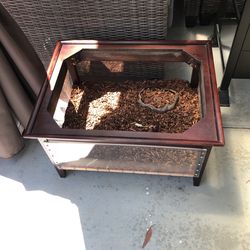 Terrarium 