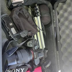 Sony A7iii
