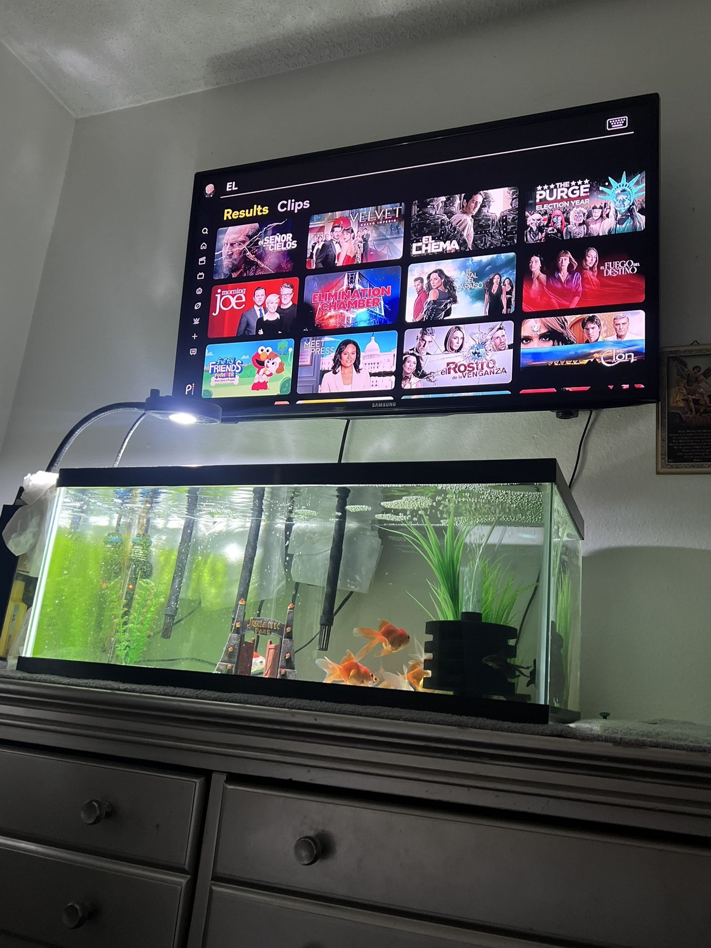 Fish Tank