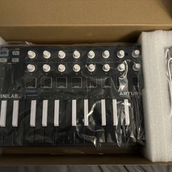 Arturia MiniLab MKII Inverted Midi Controller