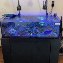 3 Saltwater Tanks